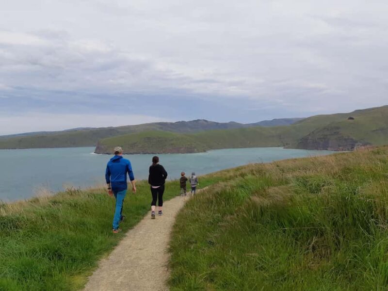 Lyttelton: Shore Excursion, Godley Head, Guided Walk - Visiting WWII Gun Emplacements and Military History
