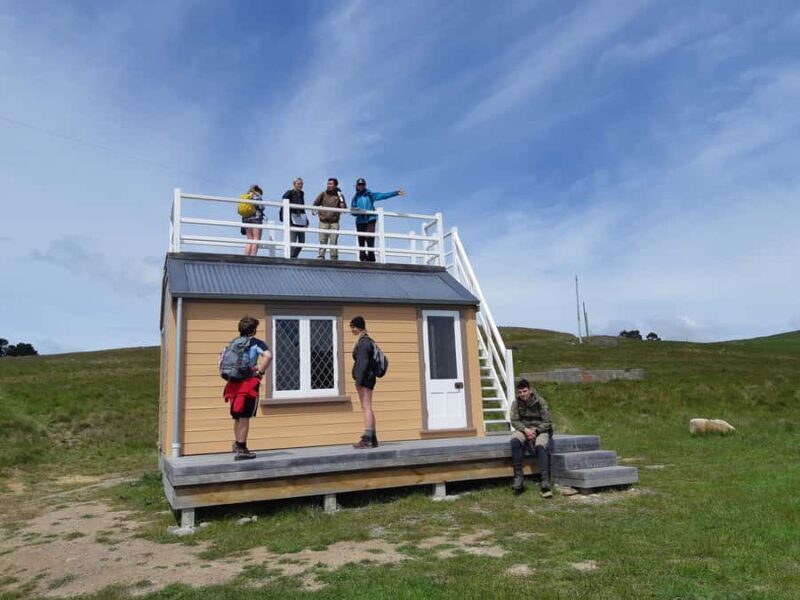 Lyttelton: Shore Excursion, Godley Head, Guided Walk - Lunch at Boulder Bay or Godley Head