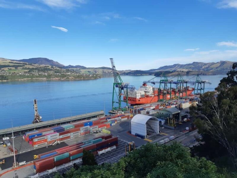 Lyttelton: Shore Excursion, Godley Head, Guided Walk - More WWII Remnants and Scenic Return Route