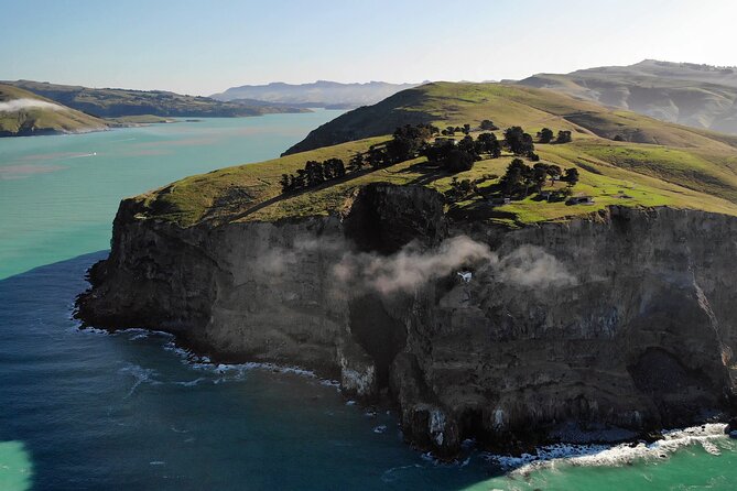 Lyttelton Shore Excursion - Guided Walking Tour and Picnic - Shuttle Bus and Transportation Information