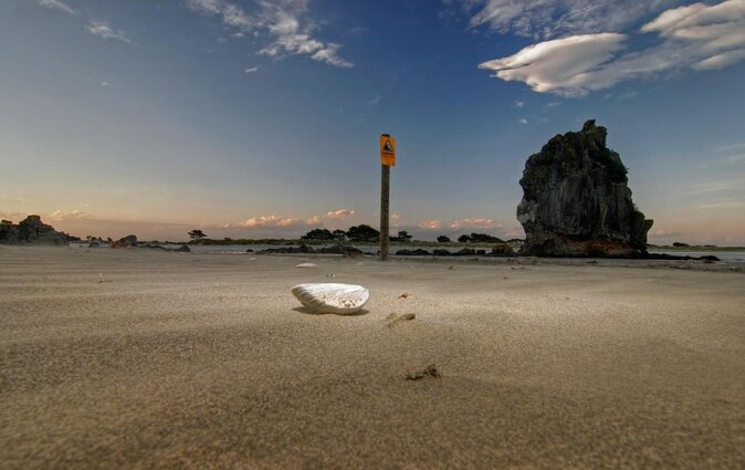 Lyttelton Shore Excursion - Guided Walking Tour and Picnic - Cancellation Policy and Refund Details