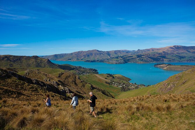 Lyttelton Shore Excursion - Guided Walking Tour and Picnic - Weather Contingency and Rescheduling