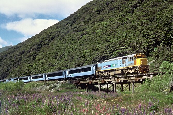 Lyttelton Shore Excursion: TranzAlpine and Arthurs Pass Tour - Common Questions
