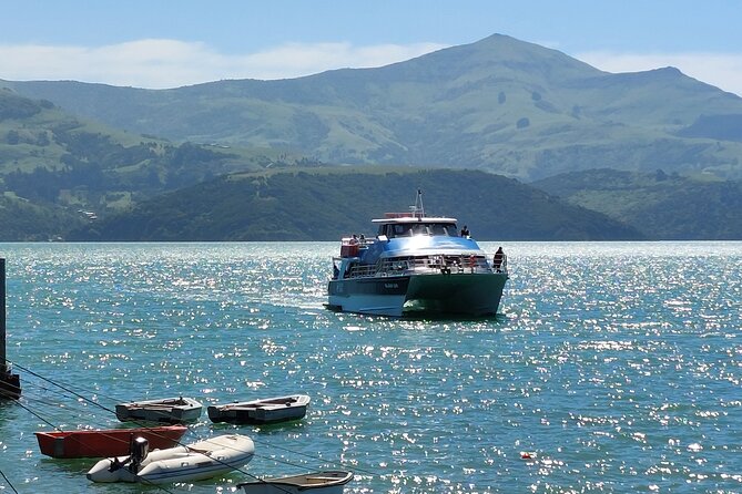 Lyttelton Shore Excursion: Twin Harbour Tour (Lyttelton & Akaroa) - Pricing and Value