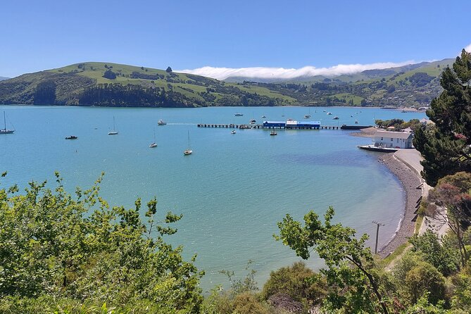Lyttelton Shore Excursion: Twin Harbour Tour (Lyttelton & Akaroa) - Visit to a Cheese Factory