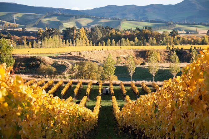 Lyttelton Shore Excursion: Waipara Valley Wine Tour with Lunch - Frequently Asked Questions