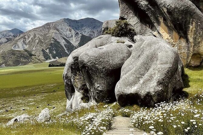 Lyttleton Port Excursion Day Tour 3 options for Cruise travelers - Who Will Love This Tour?