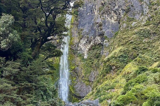 Lyttleton Port Excursion Day Tour 3 options for Cruise travelers - The Sum Up