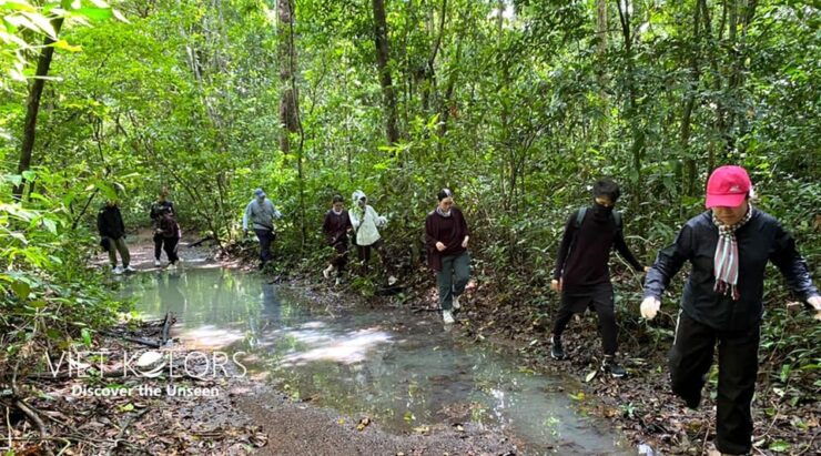 Ma Da Tropical Forest Trekking & Tri An Lake Paddleboarding - Detailed Itinerary