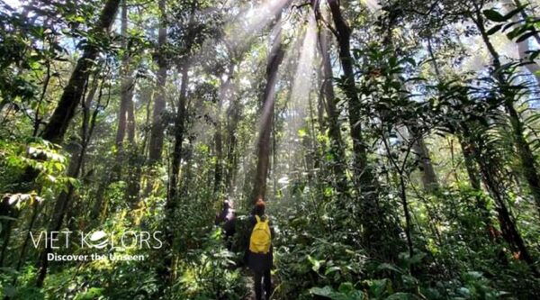 Ma Da Tropical Forest Trekking & Tri An Lake Paddleboarding - Optional Activities