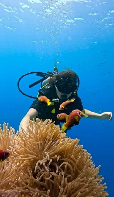 Maafushi: Discover Scuba Diving Class, First Time Experience - What Makes This Experience Stand Out?