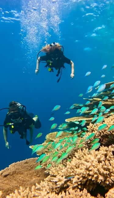 Maafushi: Discover Scuba Diving Class, First Time Experience - The Itinerary in Detail
