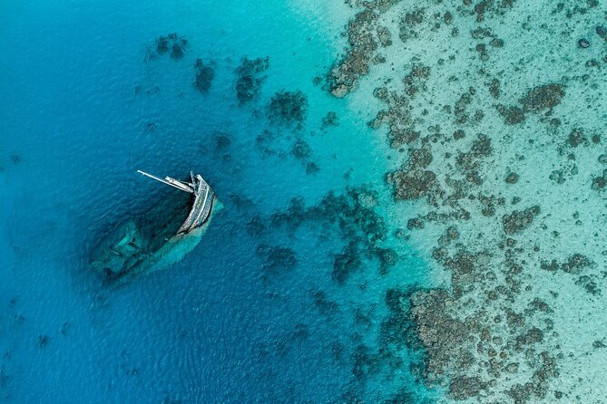 Maafushi: Ship Wreck & Nurse Shark Snorkeling With Dolphin Watching - Activity Overview