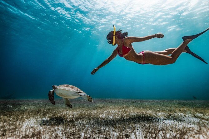 Maafushi: Snorkeling in Maldives Half Day Trip - Good To Know