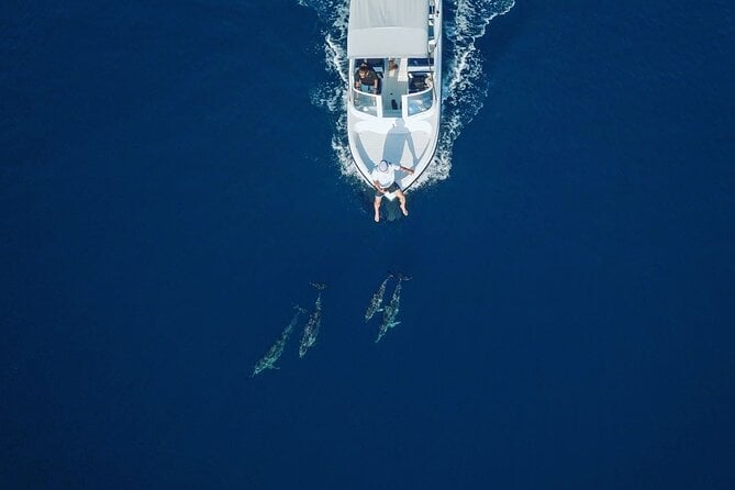 Maafushi: Snorkeling in Maldives Half Day Trip - Operator Information