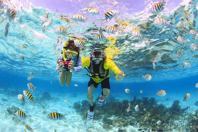 Maafushi: Snorkeling in Maldives Half Day Trip - Reviews Analysis