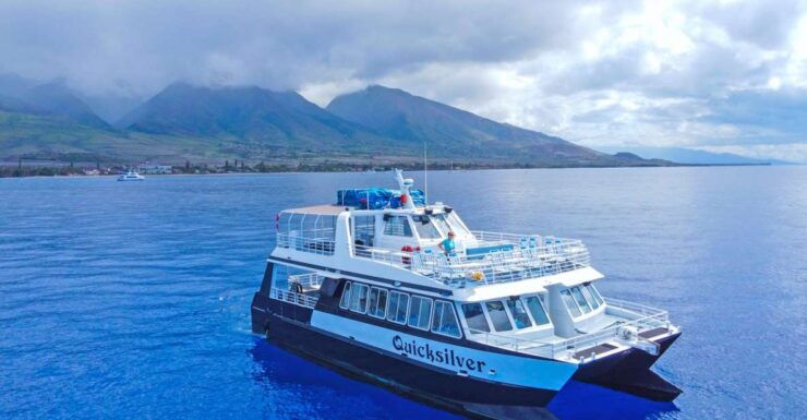 Ma'alaea Harbor: Whale Watching Catamaran Cruise - Activity Details