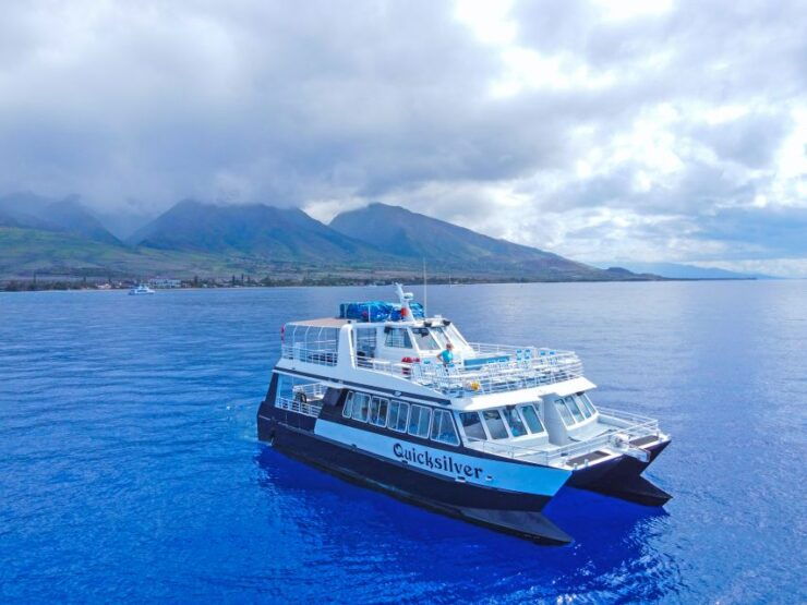 Ma'alaea Harbor: Whale Watching Catamaran Cruise - Experience Highlights
