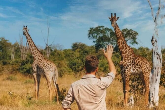 Maasai Mara 3 Days 2 Nights Wildlife Luxury Safari - Good To Know