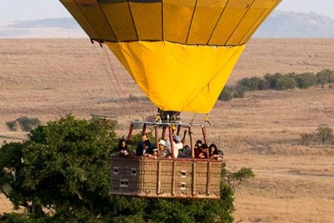 Maasai Mara 3 Days 2 Nights Wildlife Luxury Safari - The Sum Up