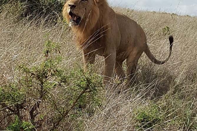 Maasai Mara Game Reserve - Cancellation Policy