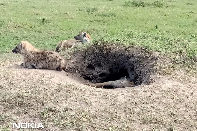 Maasai Mara Game Reserve - Frequently Asked Questions