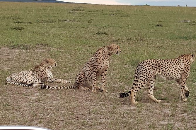 Maasai Mara Game Reserve - The Sum Up