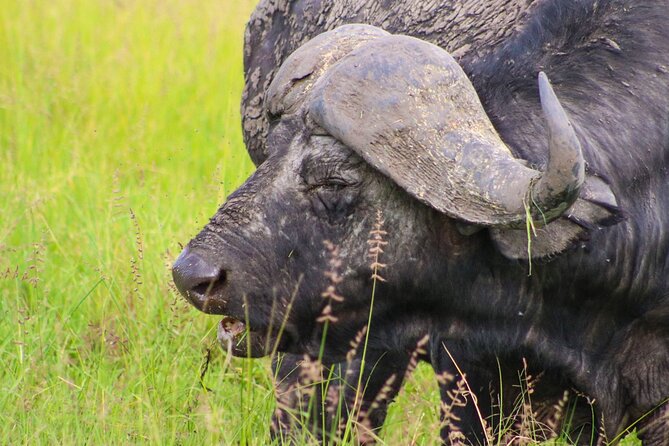 Maasai Mara National Reserve 5 Days 4nights - Cancellation Policy