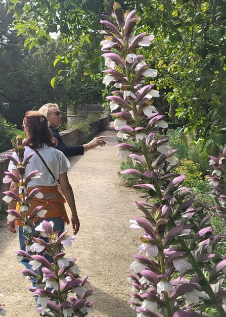 Maastricht Hidden Gems Tour Uncover the Unexpected - Vibrant Life at Vrijthof Square