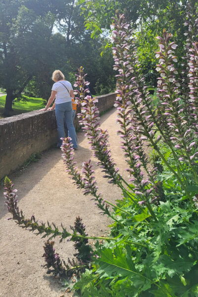 Maastricht Hidden Gems Tour Uncover the Unexpected - Customizing the Tour Experience