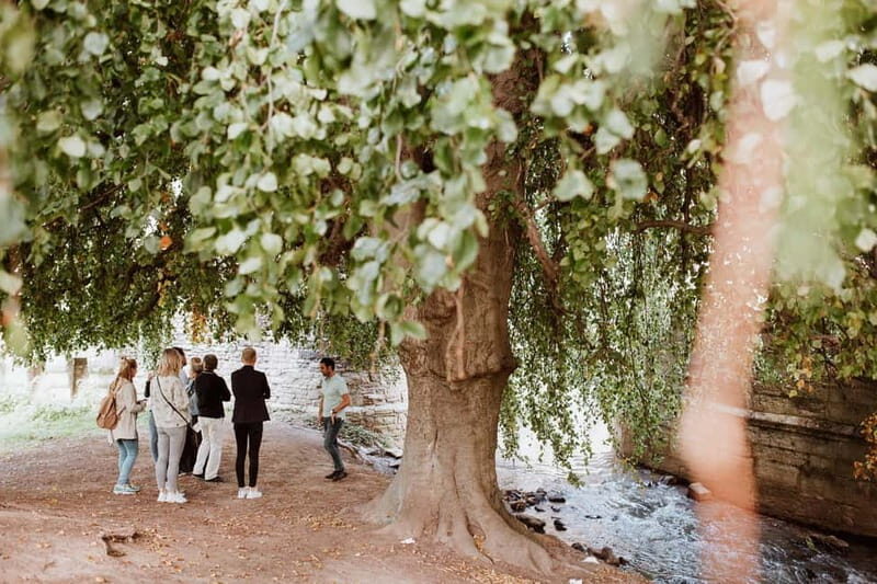 Maastricht: Highlights Tour with a local Guide - Discover Maastricht’s Charm with a Local Guide: A Detailed Review