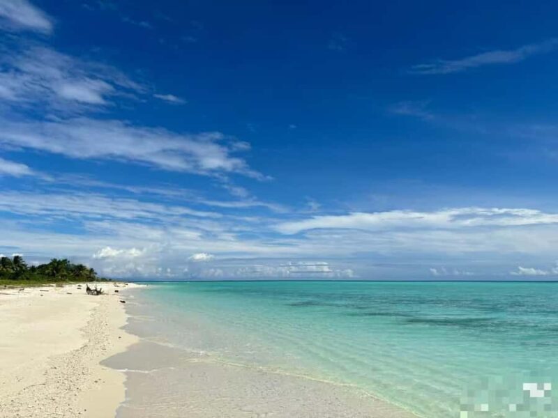 Mabul-Kapalai Islands Diving & Lunch &Photography Tour - Who Is This Tour Best For?