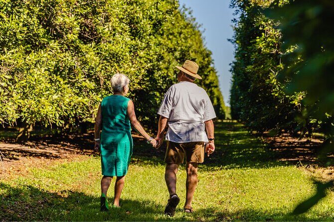 Macadamias Australia Orchard Tour in Bundaberg - Good To Know