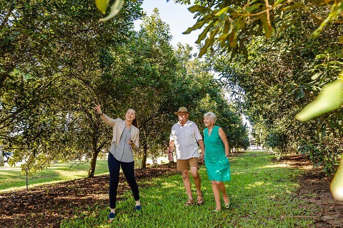 Macadamias Australia Orchard Tour in Bundaberg - Who Will Appreciate This Tour?