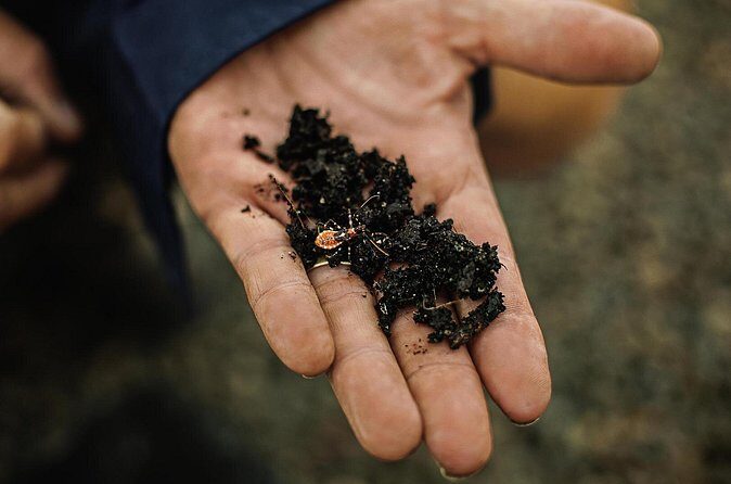 Macadamias Australia Orchard Tour in Bundaberg - Frequently Asked Questions