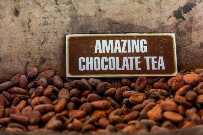 Macao Beach: Buggy Safari and Cenote Swimming with Pickup - Final Thoughts: Who Will Love This Tour?