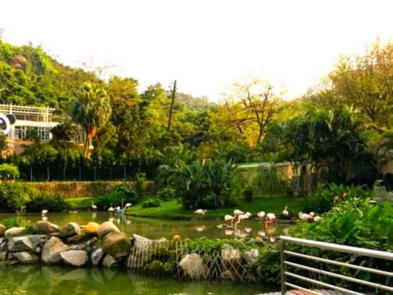 Macau Tour : Pickup + Red Panda + Insurance + Drop-off Hotel - An In-Depth Look at the Macau Private Tour Experience