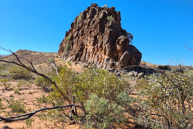 MacDonnell Ranges and Alice Town Highlights Full-Day Tour - Common Questions