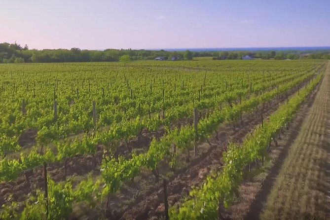Macedon Ranges Small Group Wine Tour With 2 Course Lunch - Cancellation Policy