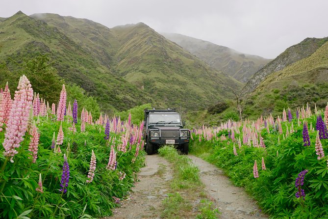 Macetown 4WD Tour From Queenstown - The Sum Up
