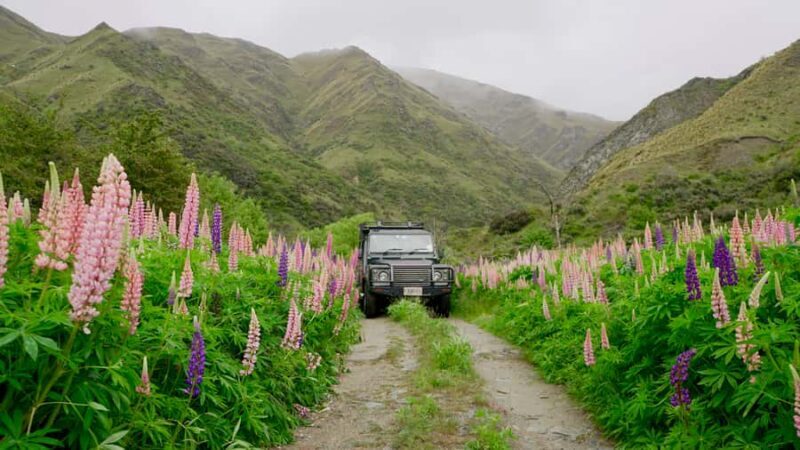 Macetown: Gold Heritage 4WD Full Day Tour from Queenstown - Who Should Consider This Tour?