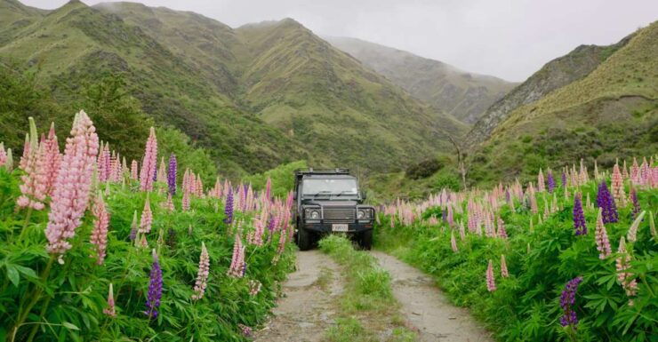 Macetown: Gold Heritage 4WD Tour - Tour Highlights