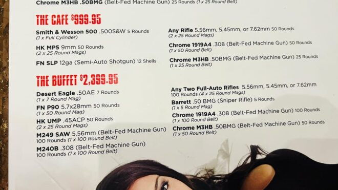 Machine Gun Shooting! - Firearms Selection