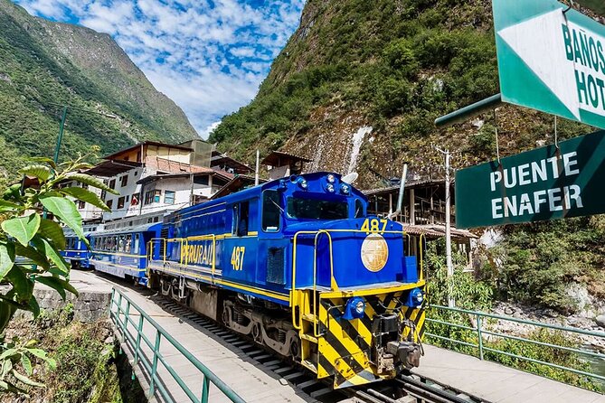 Machu Picchu 1-Day By Panoramic Vistadome Train - The Sum Up