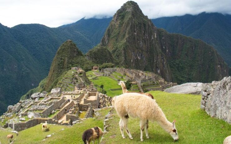 Machu Picchu: 1-Day Tour by Vistadome Observatory Train - Train Experience and Itinerary Highlights