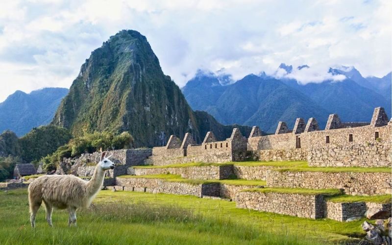 Machu Picchu 2-Day Cultural Tour from Cusco - Check the fine print before choosing a date