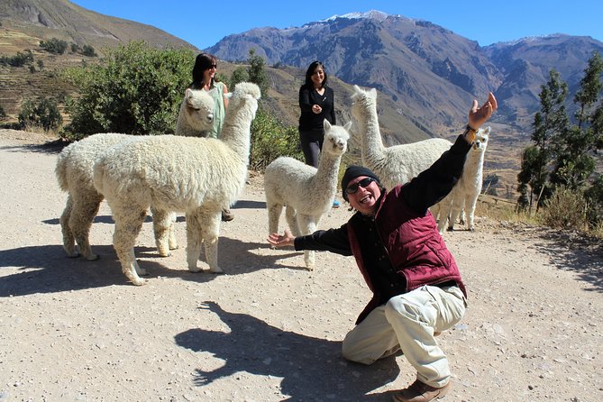 Machu Picchu 2 Days and 1 Night by Train by Sejoursrubio - Exploring the Ancient Ruins of Machu Picchu