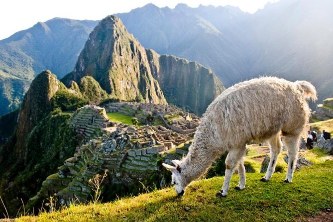 Machu Picchu by Car and Hike 2 Days 1 Night - Tips for a Memorable Trip