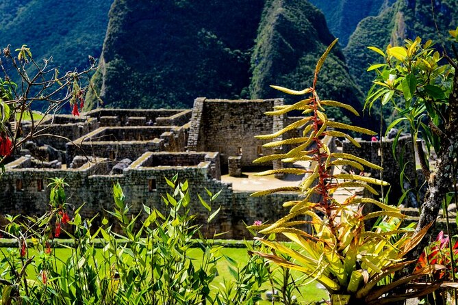 Machu Picchu by Train 1 Day - Tour Highlights