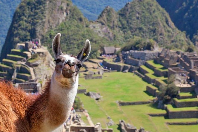 Machu Picchu by Train (1 Day) - Good To Know